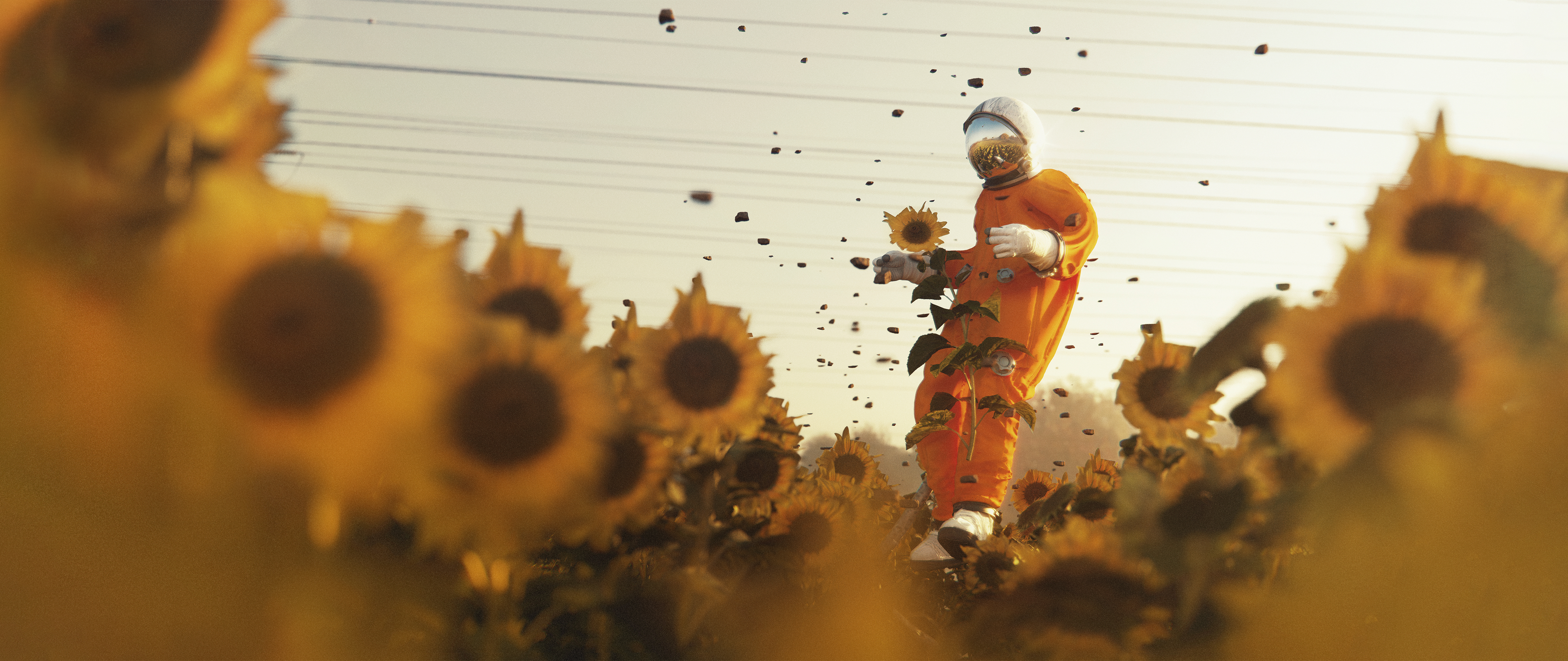 The Box of Chocolates project by worp.