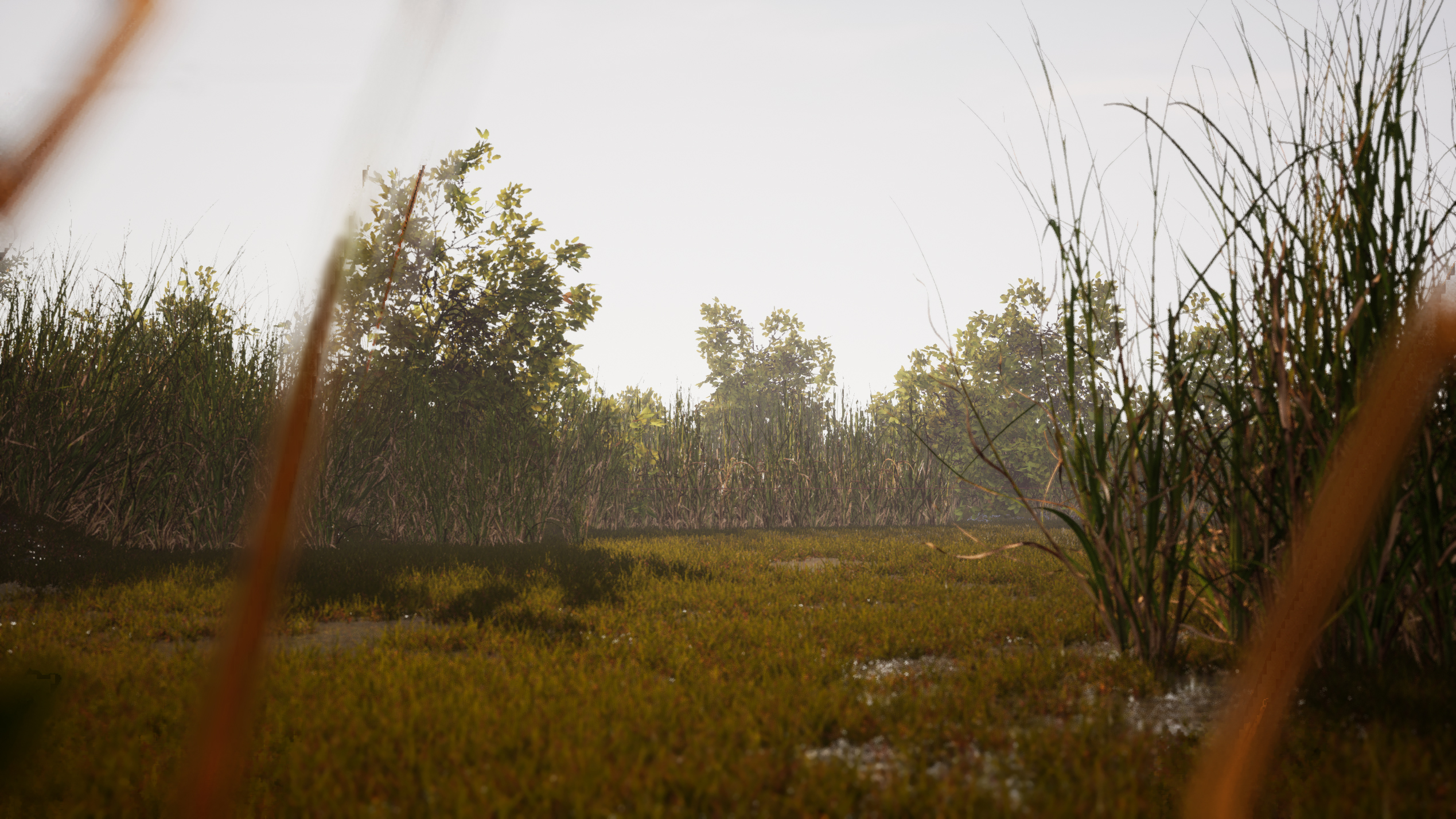 The GIS Data Driven Environment project by worp.